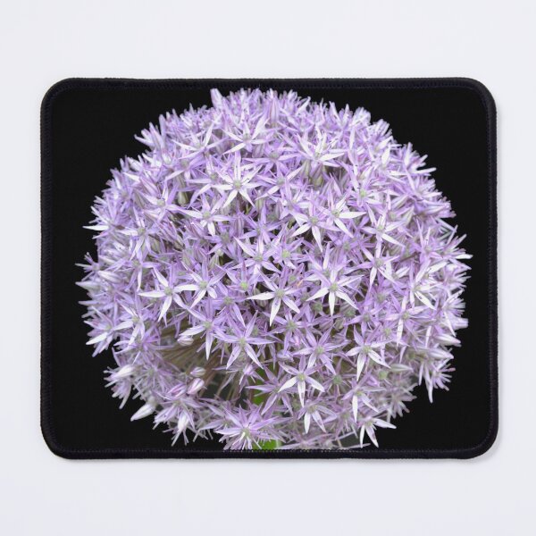 Item preview,  Giant Allium designed and sold by Kathleen Brant.