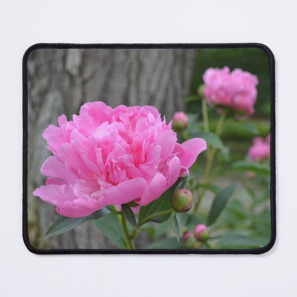 Item preview, Pink Peony Garden designed and sold by Kathleen Brant.