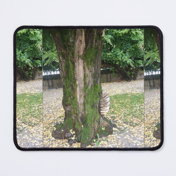 Item preview, Mossy Tree and Fungi, France designed and sold by MaureenBoyle.