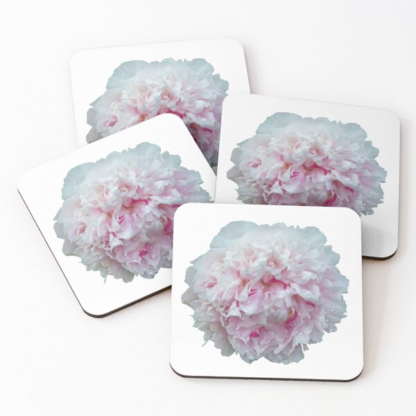 Item preview, Peony 3-2021 isolated designed and sold by Thomasyoung.