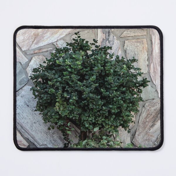 Item preview, San Diego Wall designed and sold by heatherfriedman.