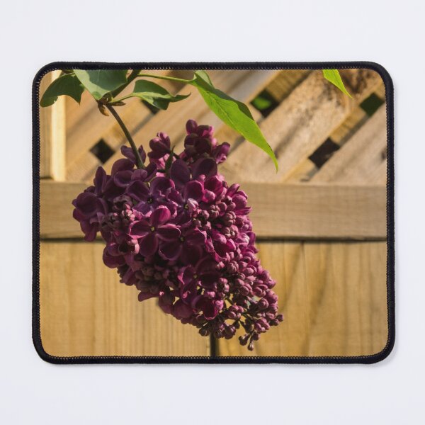 Item preview, Ultra Violet Escape Artist - Lilac Bloom over Wooden Fence designed and sold by Georgia Mizuleva.