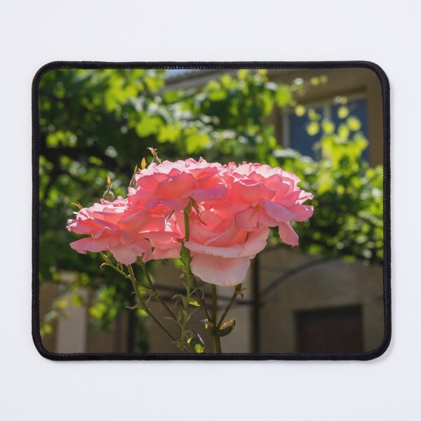 Item preview, The Sweet Scent of Summer - Old-fashioned Roses in the Backyard designed and sold by Georgia Mizuleva.