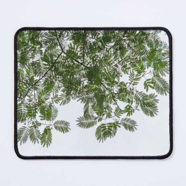 Item preview, Delicate Lace in the Sky - Gossamer Mimosa Leaves and Flower Puffs designed and sold by Georgia Mizuleva.