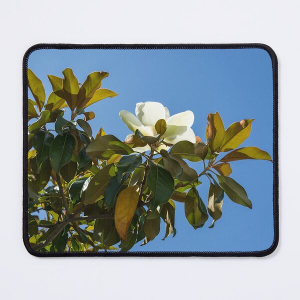 Item preview, Second Bloom - Unusual Autumn Magnolia designed and sold by Georgia Mizuleva.