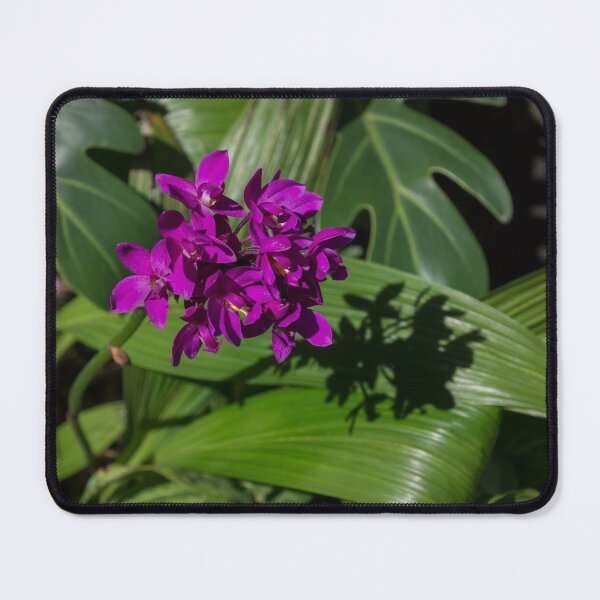 Item preview, Ultra Violet Orchid Cluster - Exotic Tropical Shadows designed and sold by Georgia Mizuleva.