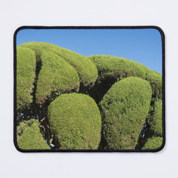 Item preview, Green Boulders - Sensually Sculptured Cypress Trees designed and sold by Georgia Mizuleva.