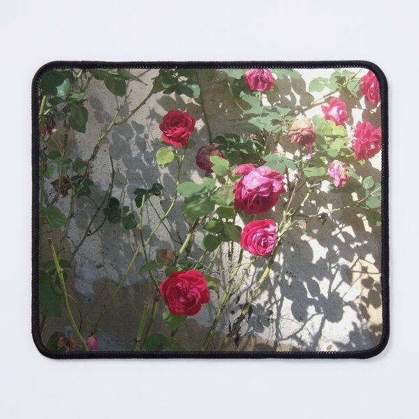 Item preview, Red Climbing Roses designed and sold by MaureenBoyle.