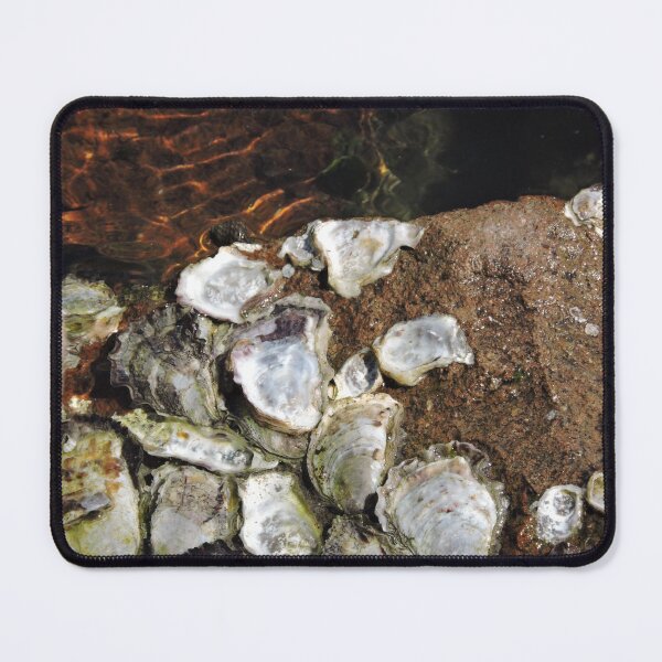 Item preview, Rock & Barnacle2 designed and sold by MaureenBoyle.