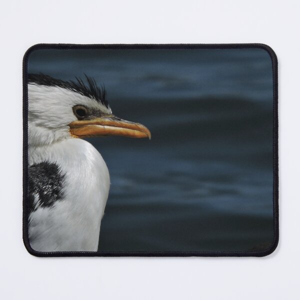 Item preview, Cormorant, just chilling' designed and sold by MaureenBoyle.