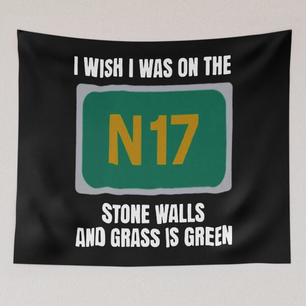 Item preview, I Wish I Was On The N17 Irish Celtic Folk Rock Band Saw Drs Womens Essential designed and sold by AnibalEfren.