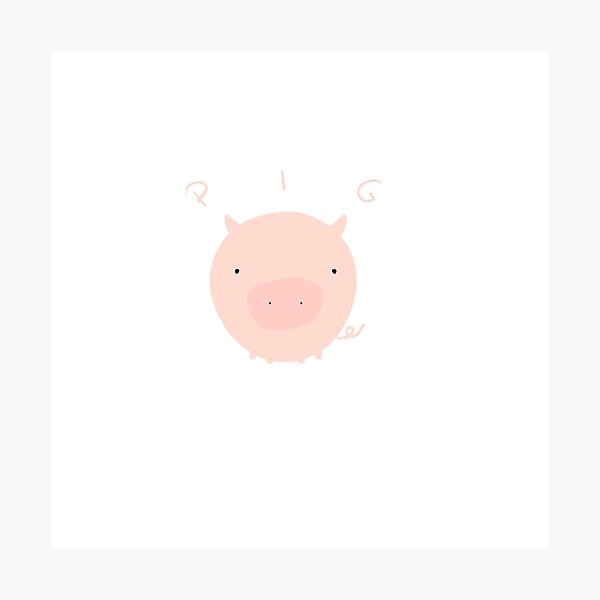 Pig Photographic Print