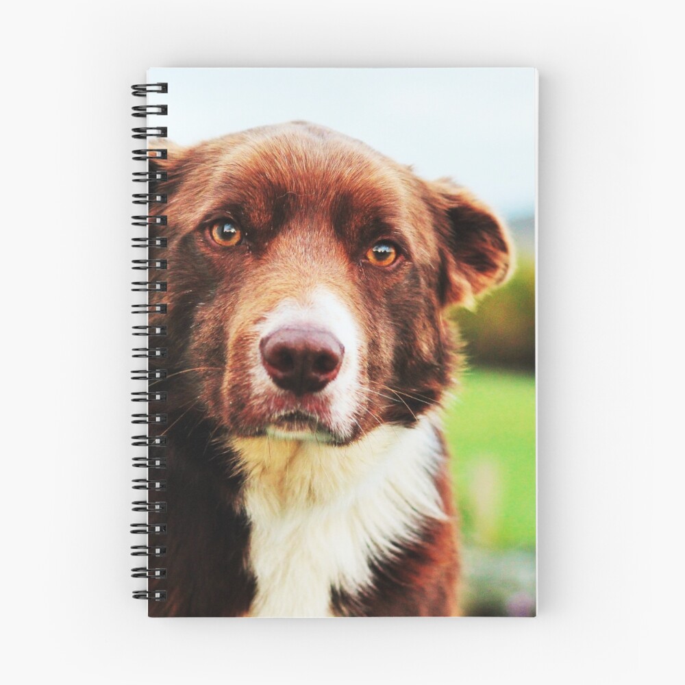 Item preview, Spiral Notebook designed and sold by thegreendogs.