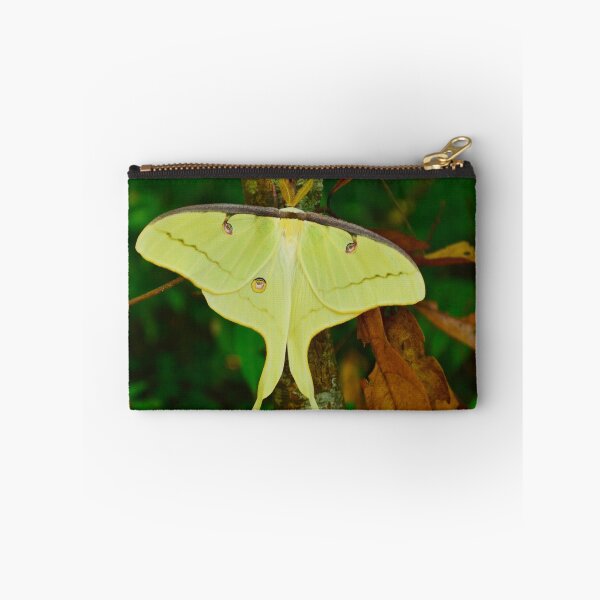 Item preview, Luna Moth designed and sold by Kathy Baccari.