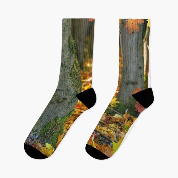 Item preview, Fall Autumn Pattern- Forest Trees Red Orange Yellow Leaves, Fall Leaves Print designed and sold by silviaol.
