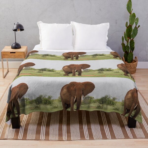 Item preview, An Elephant in Kenya's National Park designed and sold by Amanda1775.