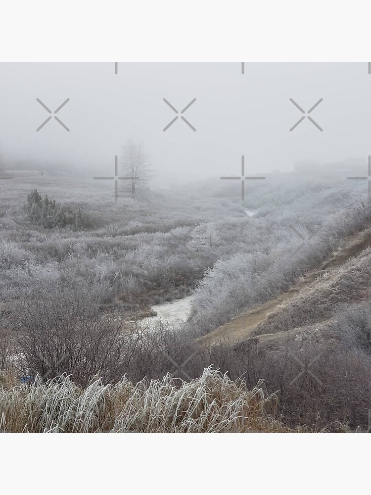 "Frosty morning in the fog in Kuujjuaq, Nunavik" Poster for Sale by
