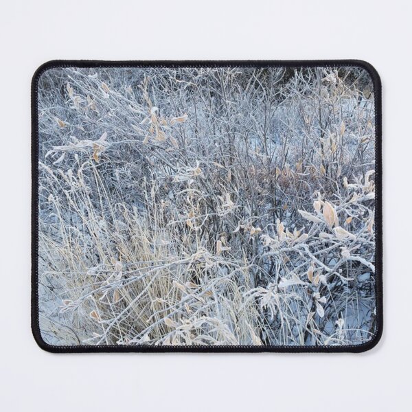 Item preview, Close-up on frozen wild foliage in Kuujjuaq, Nunavik designed and sold by celinebisson.