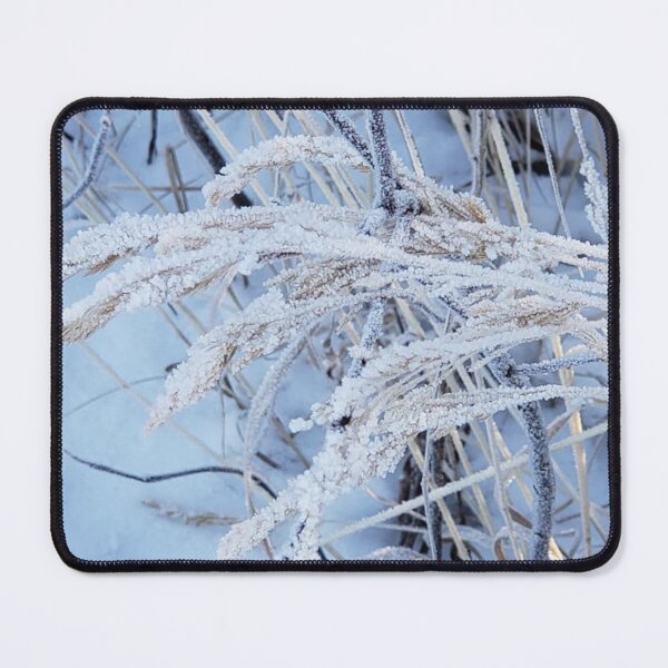 Item preview, Close-up on frosty wild foliage in Kuujjuaq, Nunavik designed and sold by celinebisson.