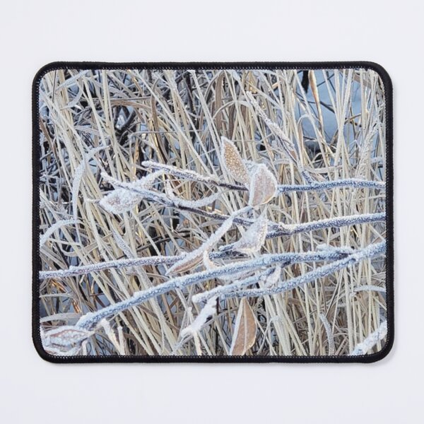 Item preview, Close-up of frosted leaves in a field of Kuujjuaq, Nunavik designed and sold by celinebisson.