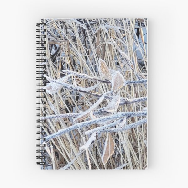 Item preview, Close-up of frosted leaves in a field of Kuujjuaq, Nunavik designed and sold by celinebisson.