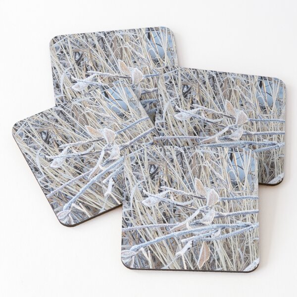 Item preview, Close-up on frosty wild plants and leaves in Kuujjuaq, Nunavik designed and sold by celinebisson.