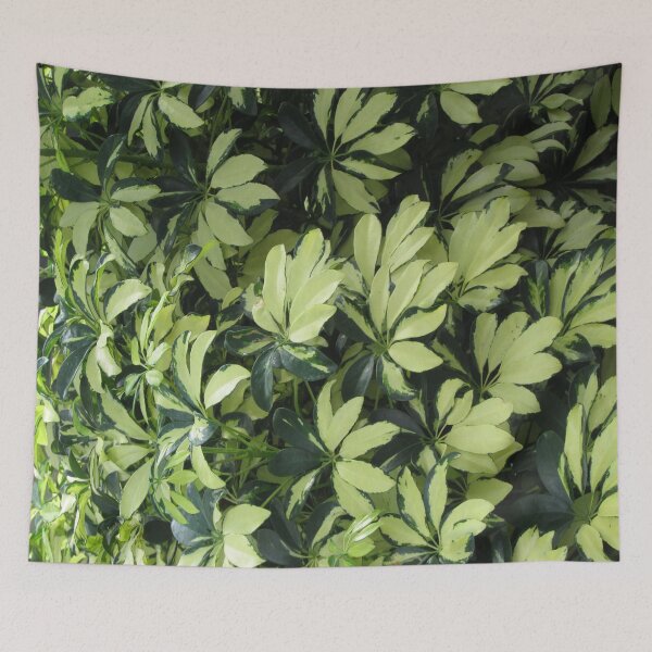 Item preview, Variegated Simplicity designed and sold by Judith Hayes.