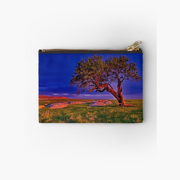 Item preview, "The Forgotten Tree" designed and sold by Phil Thomson.
