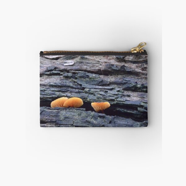Item preview, fungi Success Hill Reserve designed and sold by Naia.
