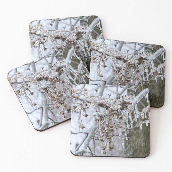 Item preview, Close-up of branches covered with ice after the ice storm designed and sold by celinebisson.