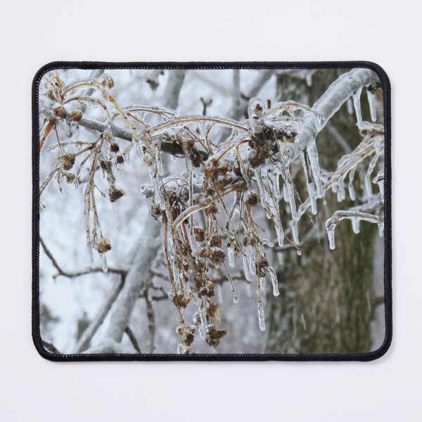 Item preview, Close-up of branches covered with ice after the ice storm designed and sold by celinebisson.