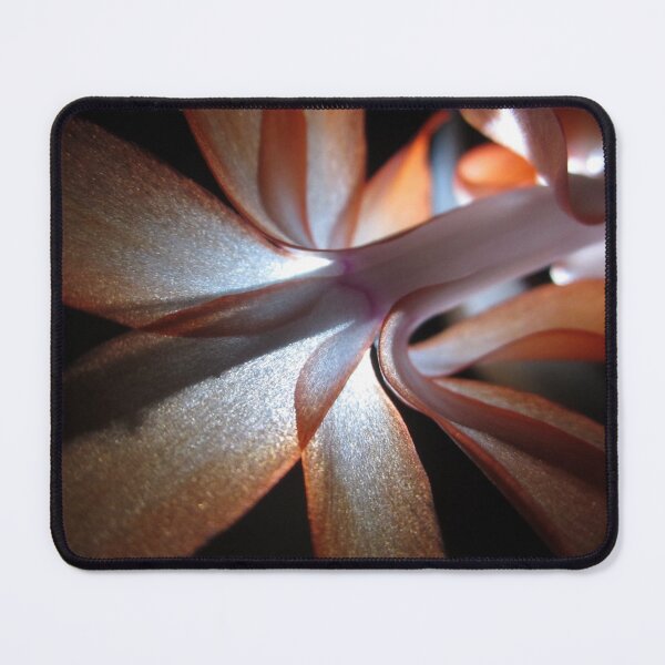 Christmas Cactus in Bloom #2 Mouse Pad