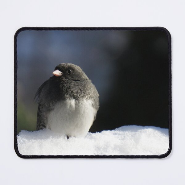 Item preview, Close-up of a junco in the snow designed and sold by celinebisson.