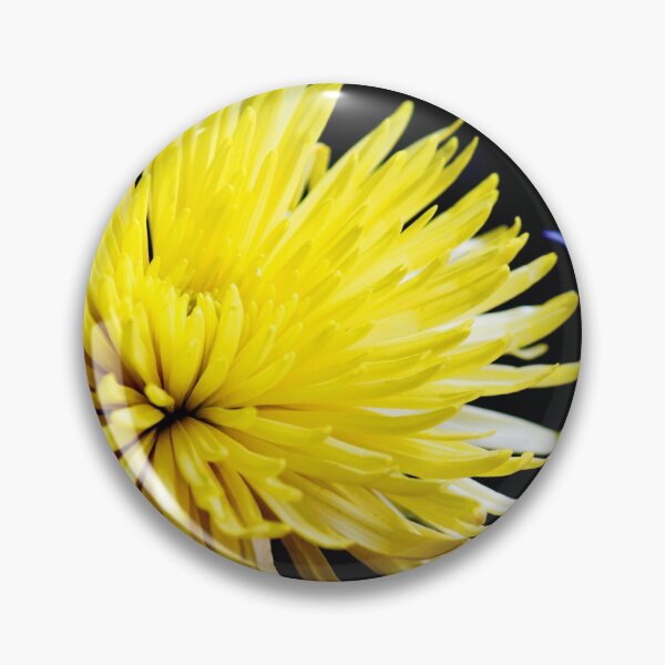 Item preview, Close-up of a yellow flower and black background designed and sold by celinebisson.