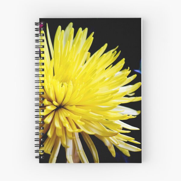 Item preview, Close-up of a yellow flower and black background designed and sold by celinebisson.