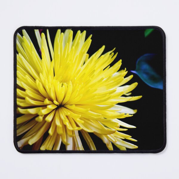 Item preview, Close-up of a yellow flower and black background designed and sold by celinebisson.