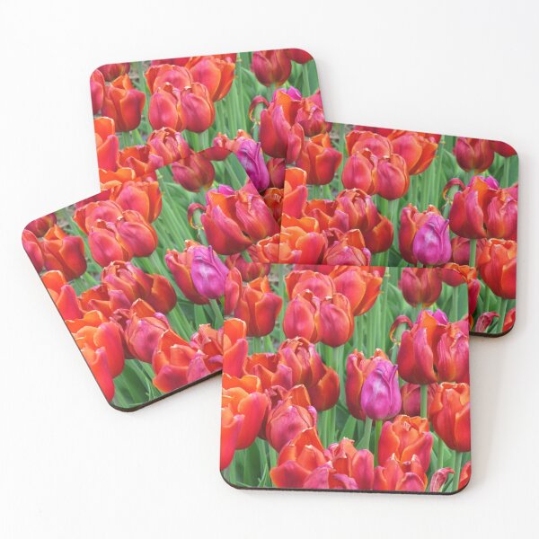 Item preview, Close-up on bright red tulips in a field during spring time designed and sold by celinebisson.