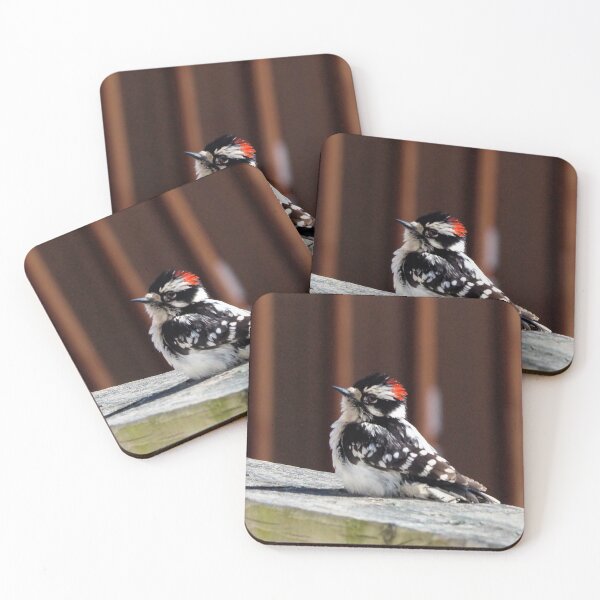 Item preview, A Downy Woodpecker Sitting On My Deck designed and sold by BackyardBirder.