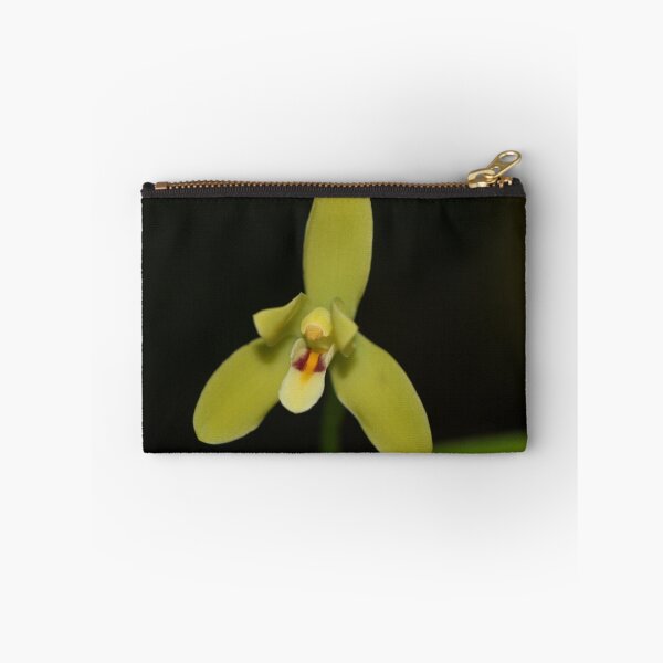 Item preview, Cymbidium madidum designed and sold by andrachne.