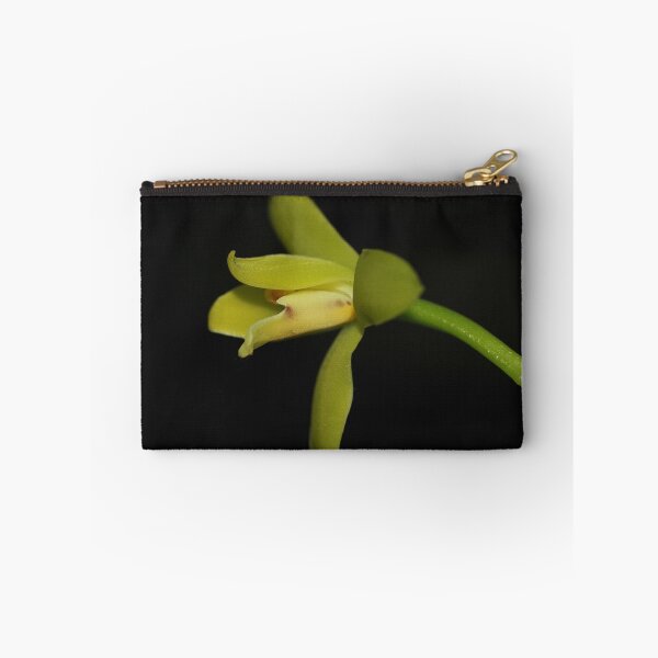 Item preview, Cymbidium madidum designed and sold by andrachne.