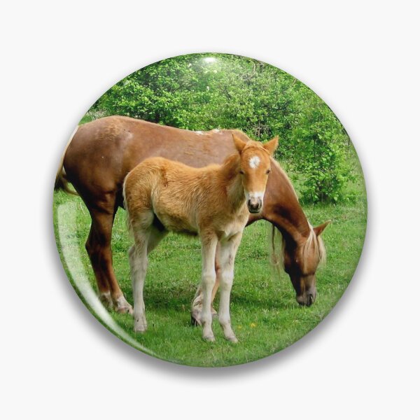 Item preview, Butterscotch foal stands in a paddock with its mother. foal stands in a paddock designed and sold by celinebisson.