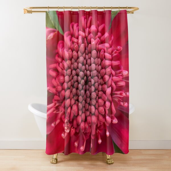 Waratah Shower Curtain