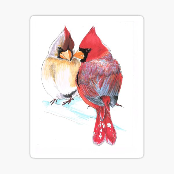 Northern Cardinals Sticker