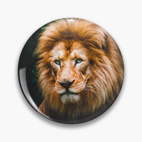 Item preview, Lion looking out over his domain at the zoo designed and sold by Michael Deemer.
