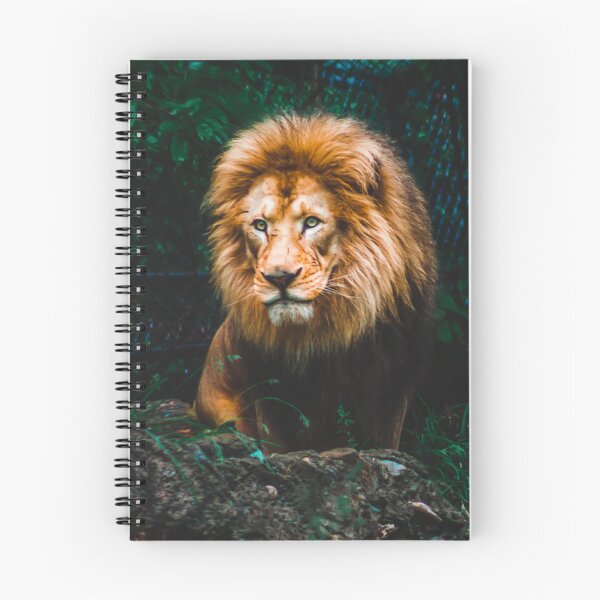 Item preview, Lion looking out over his domain at the zoo designed and sold by Michael Deemer.