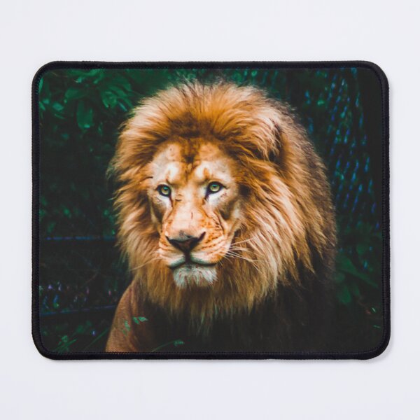 Item preview, Lion looking out over his domain at the zoo designed and sold by Michael Deemer.