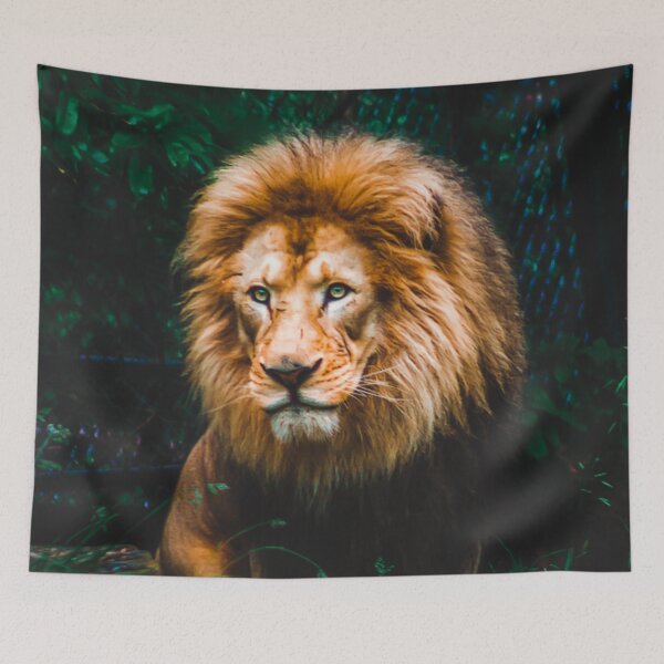 Item preview, Lion looking out over his domain at the zoo designed and sold by Michael Deemer.