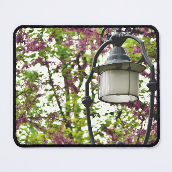 Item preview, Street Lamp and Flowers in Budapest Hungary designed and sold by CarolinaReina.