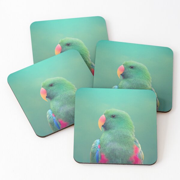 Item preview, Eclectus Parrot designed and sold by GavinScott.