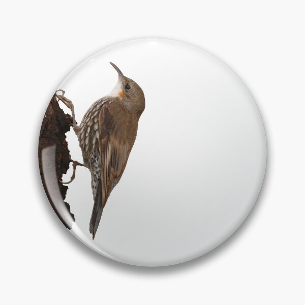 Item preview, White-throated Treecreeper designed and sold by quentinjlang.